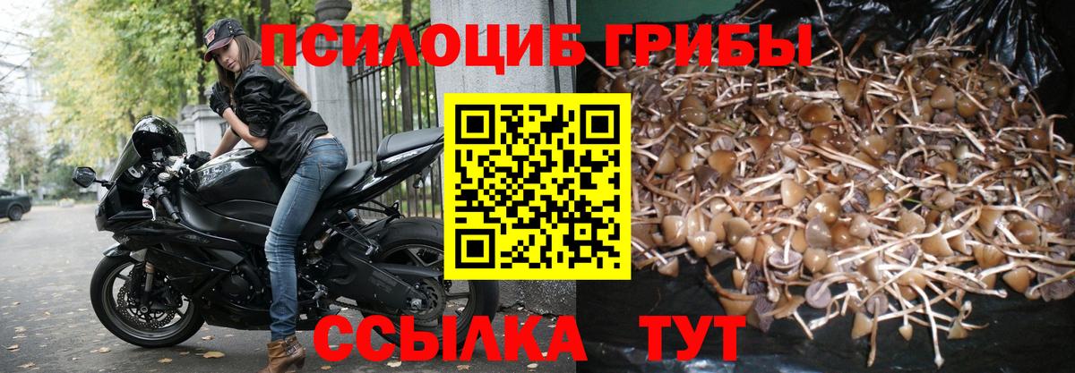 Галлюциногенные грибы MAGIC MUSHROOMS Карталы