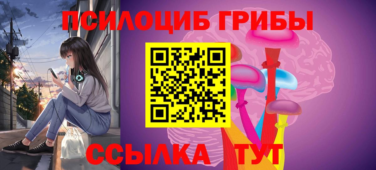 Псилоцибиновые грибы мицелий  Псилоцибиновые грибы прущие грибы  купить   Вход с VPN  Карталы 