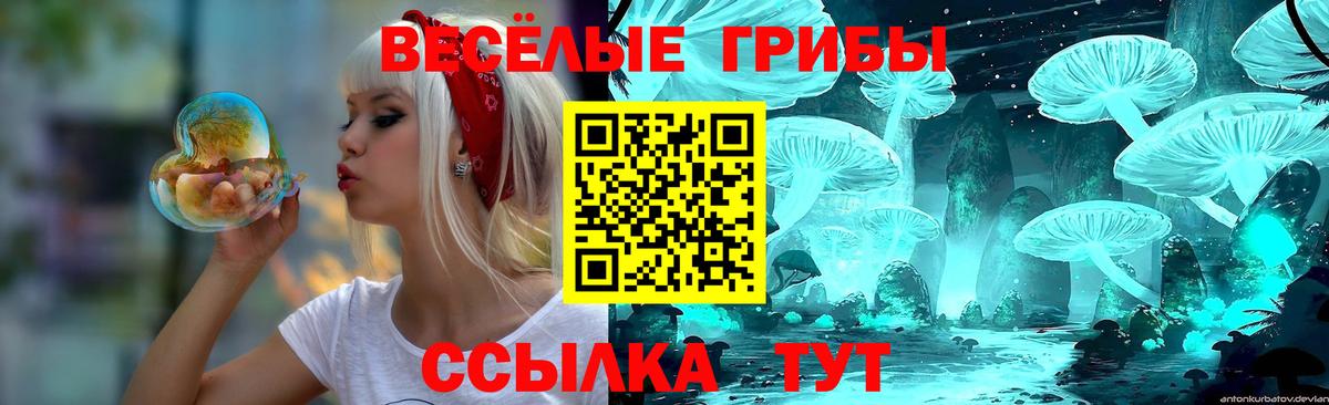 A PVP Карталы